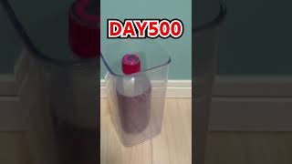 Daily Bottle Flip Challenge day 808  GENN [upl. by Sandye]