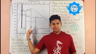 Solidificación en Equilibrio en Diagrama de Fases NiSn  Metalurgia  Somos FI [upl. by Annairba]