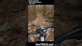 Mount Seymour Trail Neds Atomic Dustbin mtb mountainbike mtblife [upl. by Valeda]