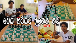 චෙස් අදින මූලික පියවර  How to Play Chess අපි නොදන්න චෙස් [upl. by Nnaik139]