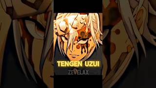 Tengen uzui edit rizz breathing editAMV gata only x tengen uzui anime demonslayer tengenuzui [upl. by Hillyer]