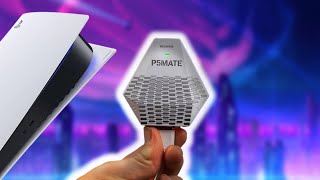 Reviewing P5MATE [upl. by Rus]