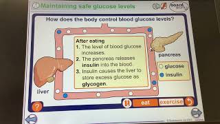 KS4GCSEBIOLOGYHormones Maintaining safe glucose levels food [upl. by Ahsened]