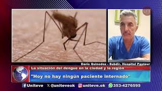 La situación del dengue en la ciudad y la región [upl. by Eeimaj411]