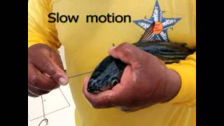 How to bridle large baits IGFA School of Sportfishing [upl. by Neeoma293]