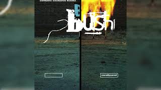 Bush  Swallowed Radio Edit HQ [upl. by Kirk161]