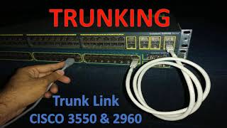 how to configure trunk port on cisco switch  Trunk Port configuration [upl. by Mastrianni]