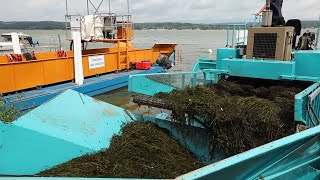 AECOM HABITATS project piloted at Lake Chautauqua [upl. by Alisia]