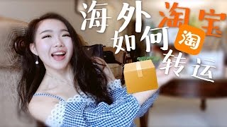 【Rainie】在海外如何淘宝 集运方式大介绍 海淘技巧tips [upl. by Aiuhsoj951]