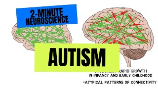 2Minute Neuroscience Autism [upl. by Nanfa333]