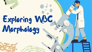 Exploring Haematology Morphology  White blood cells Leukocytes introduction [upl. by Rochelle913]