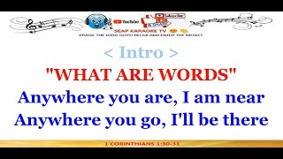 WHAT ARE WORDS KARAOKE LYRICS BY CHRIS MEDINA [upl. by Stroud]