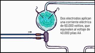 Convergente Biología I ¿Pudieron haberse formado sustancias orgánicas en [upl. by Orelle919]