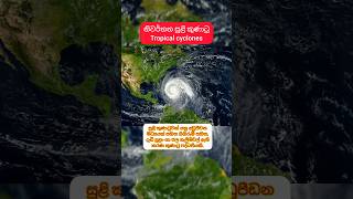 නිවර්තන සුළි කුණාටු Tropical cyclones shorts cyclones [upl. by Eelahc977]