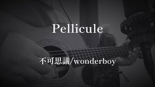 Pellicule（弾き語りcover） 不可思議wonderboy [upl. by Pantheas72]