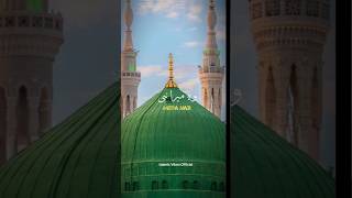 Wo Mera Nabi Hy viralnatt viralshorts islamicstatus subscribe Islamicvibesoffical20 [upl. by Yereffej]