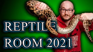 My Most Asked About Reptiles  Reptile Room Tour Update [upl. by Nwahsiek]