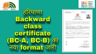 Bacward class certiticate new format in haryana New BCA certificate in haryana New BCB certificate [upl. by Drwde]