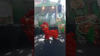 BARONGSAI IMLEK PONTIANAK [upl. by Ybba883]