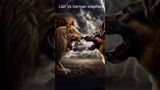 Lion Vs German shepherd Attitude  shortvideo viralvideo ai [upl. by Anits]