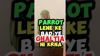 Bird Lene k bad ye ghalti nhi krna petcare birdcaretips petclinic pethospital petmall [upl. by Massimiliano793]