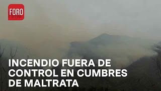 Sigue fuera de control incendio en Cumbres de Maltrata Veracruz  Las Noticias [upl. by Cartie]