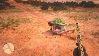 RDR2  The painful death of the Chelonian Master [upl. by Alodie752]