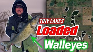 Small Secret Lakes Loaded with Walleye  Guide for Ice Fishing North Dakota Pothole Lakes [upl. by Libb]