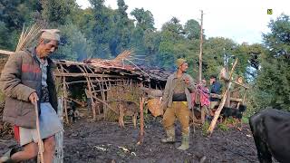 The Himalayan Cow Farm Goat Farm  Cowherd Real Of Life Go Back to Home 6 Month After Cowherds [upl. by Erle872]