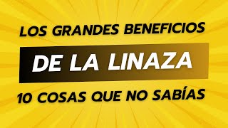 10 COSAS QUE PROBABLEMENTE NO SABÍAS DE LA LINAZA estilodevida nutrición linaza [upl. by Nilre247]