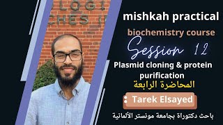 Plasmid Cloning and protein purification 4 [upl. by Atikan]