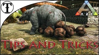 Why and How to Tame a Phiomia  ARK  Survival Evolved Tips and Tricks [upl. by Lefkowitz648]