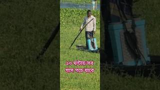 ঘাস পচনের বিষকৃষকagriculture [upl. by Eimiaj]