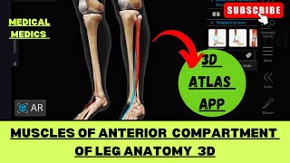 Muscles of Anterior Compartment of Leg amp Dorsum of Foot  Medical Medics [upl. by Downe859]