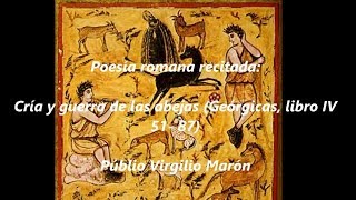 Poesía romana recitada Geórgicas de Virgilio libro IV 5187 cría y guerra de las abejas [upl. by Nailil]