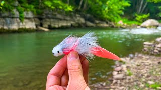 INCREDIBLE Fly Fishing for Big Brown Trout Streamer Fishing [upl. by Ecirtaed]