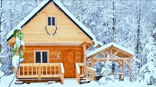 ONE Year a Man Builds the Log Cabin of his Dreams Alone in the Forest Start to Finish [upl. by Drarreg114]