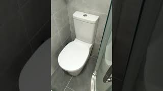 Fixing loose toilet seat from the top [upl. by Morton]