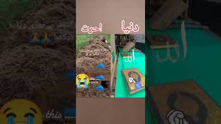 آللہ 📿allah khubsurat name shorts viral short youtubeshorts [upl. by Wallraff]