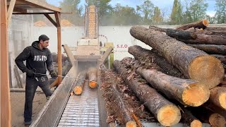 Extreme Wood Processing How Massive Logs Are Turned Into Fine Chips [upl. by Niven]