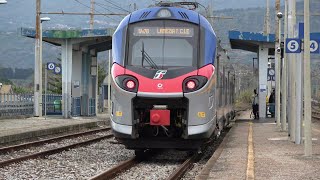 Treni Rosarno  volatile spiaccicato sul frontale del Frecciargento [upl. by Atterrol724]