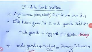 Double fertilization hindi [upl. by Keiko]