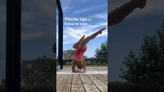 How to do Pincha  forearm stand bow amp arrow legs  yoga pose tutorial Pincha tips yogatutorial [upl. by Esetal]