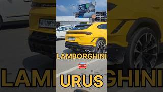 Urus ki power 🦾car lamborghini urus supercars luxury bmw scoroiorangerover ytshorts shorts [upl. by Nnylyram557]