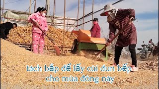 Cùng Chị Chồng Tách Hạt Bắp Để Làm Củi Nấu Bếp Cho Mùa Đông [upl. by Corine]