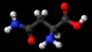 Asparagine  Asparagus Liver Function Cells Nerves Brain Diuretic Ammonia Proteins [upl. by Eissim]