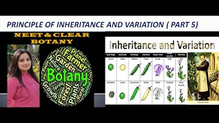 PRINCIPLE OF INHERITANCE AND VARIATION POLYGENIC INHERITANCE  PART 5 [upl. by Aleuqahs747]