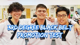 3rd Degree Black Belt Test at American Black Belt Academy Peachtree City [upl. by Ojaras481]