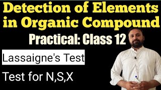 Detection of Elements  Class12  Chemistry Practical Lassaignes Test  Muhammad Waqas [upl. by Sandi]