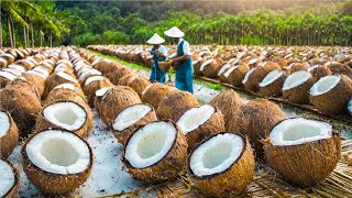 OIL Making Process from Coconut in Factory  Coconut Harvesting and Processing for Oil and Sugar [upl. by Nilak]